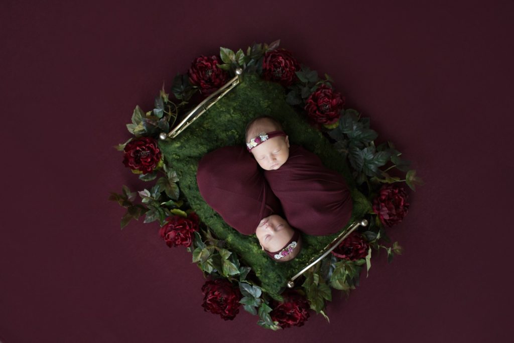 Newborn Twin Girls with Burgundy and Green Flower Baby Setup at Christmas in Gainesville Florida