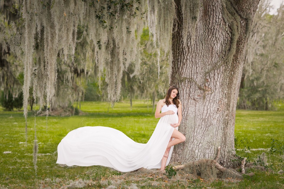 Outside maternity photo session with white flowing gown and big Florida tree