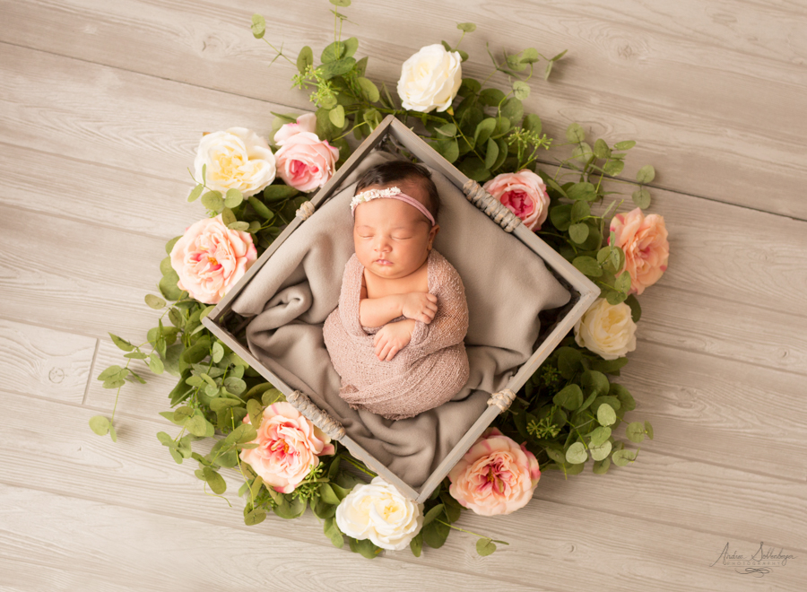 Newborn with flowers in crate dressed in pink Gainesville Florida