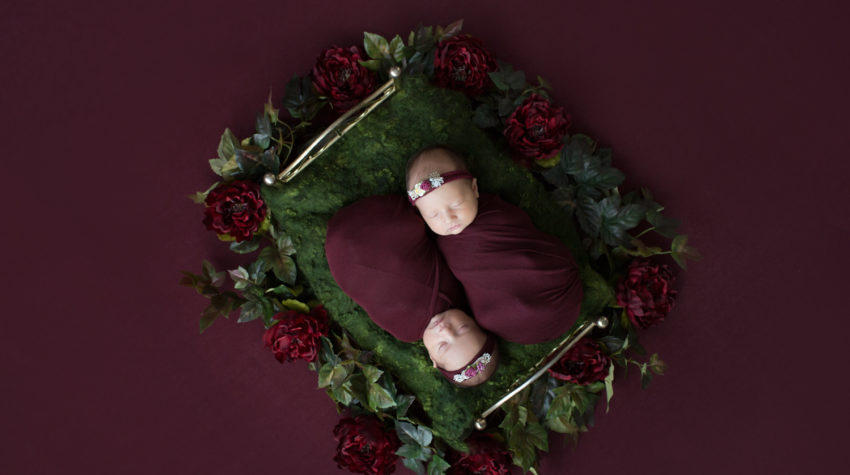 Newborn twin girls posed in brass bed together with burgundy Christmas garland surrounding the bed against burgundy backdrop Gainesville Florida