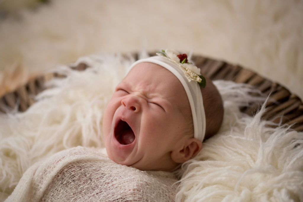 Baby girl Charleigh in round basket and fur with big yawn in Gainesville Florida