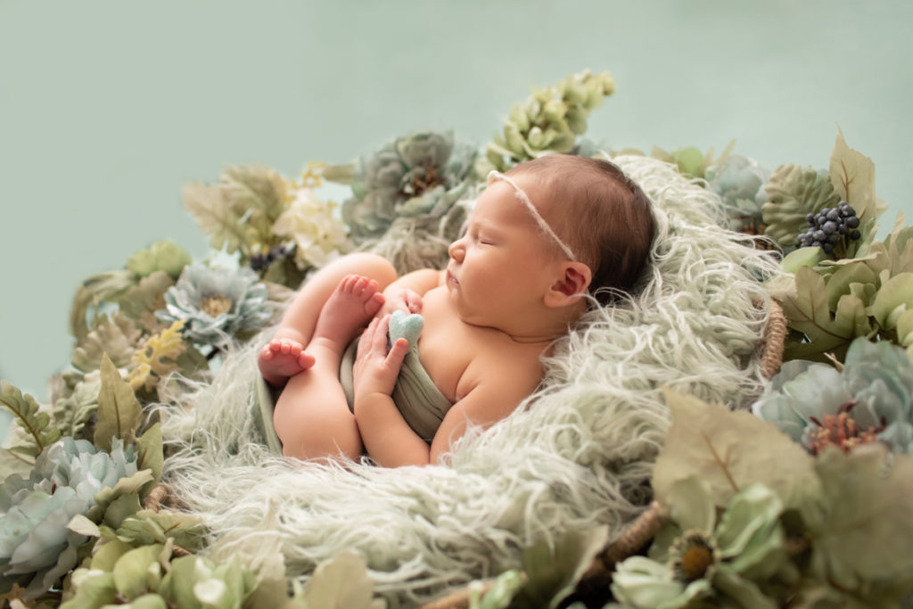 Hensley newborn photos sleeping in round fur textures basket surrounded with shades of green flowers profile baby hands holding tiny felted green felt heart Gainesville Florida Newborn Photography
