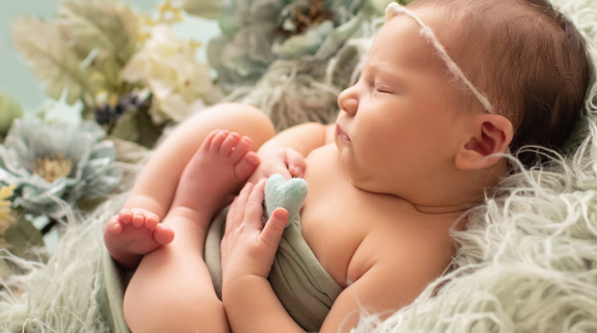 Hensley newborn photos sleeping in round basket fur textured surrounded with shades of green flowers profile close up baby hands holding tiny felted green heart Gainesville Florida Newborn Photography