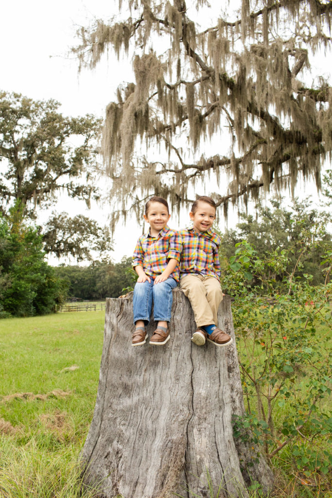 Family Photos Three Year Old Twin Boys big smiles sitting on tree stump at country farm Horseshoe Farm Alachua Florida