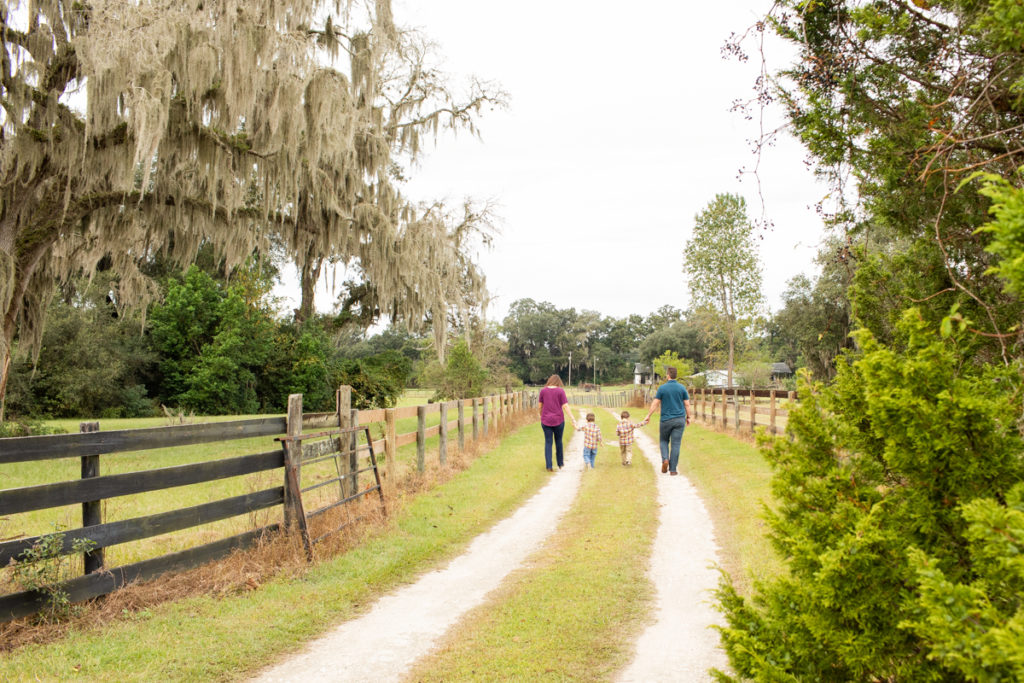 Family Photos with Three Year Old Twin Boys holding hands walking along fence lined dirt road at Horseshoe Farm Alachua Florida