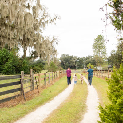 Family Photos with Three Year Old Twin Boys holding hands walking along fence lined dirt road at Horseshoe Farm Alachua Florida