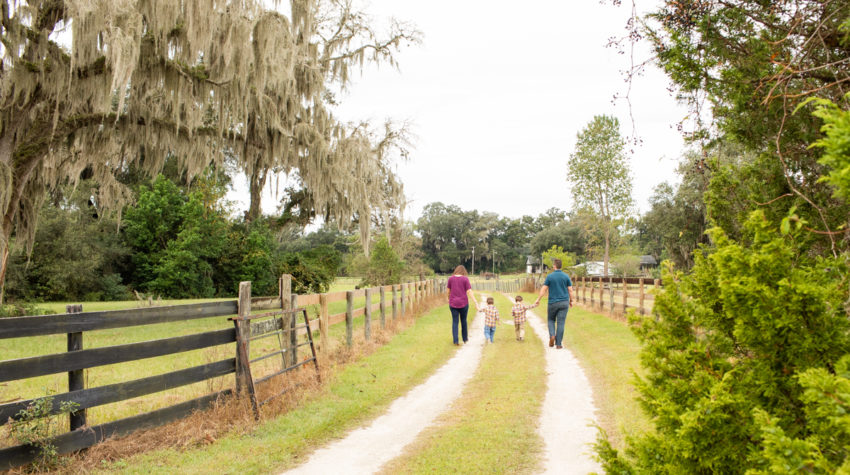 Family Photos with Three Year Old Twin Boys holding hands walking along fence lined dirt road at Horseshoe Farm Alachua Florida