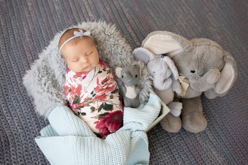 newborn baby elephant toy