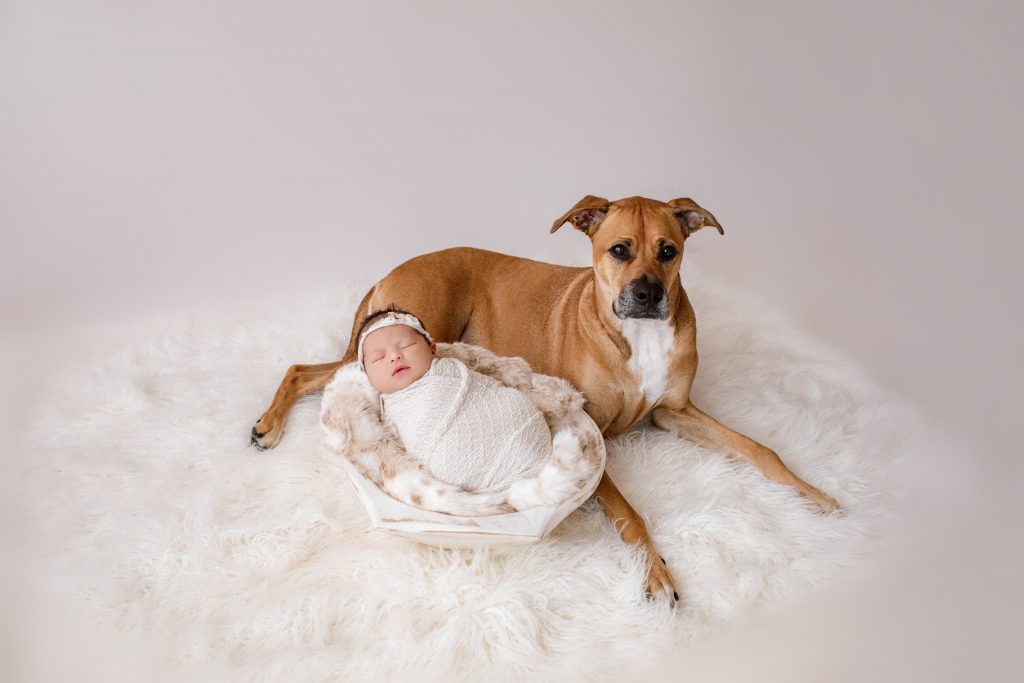 newborn photo with dog