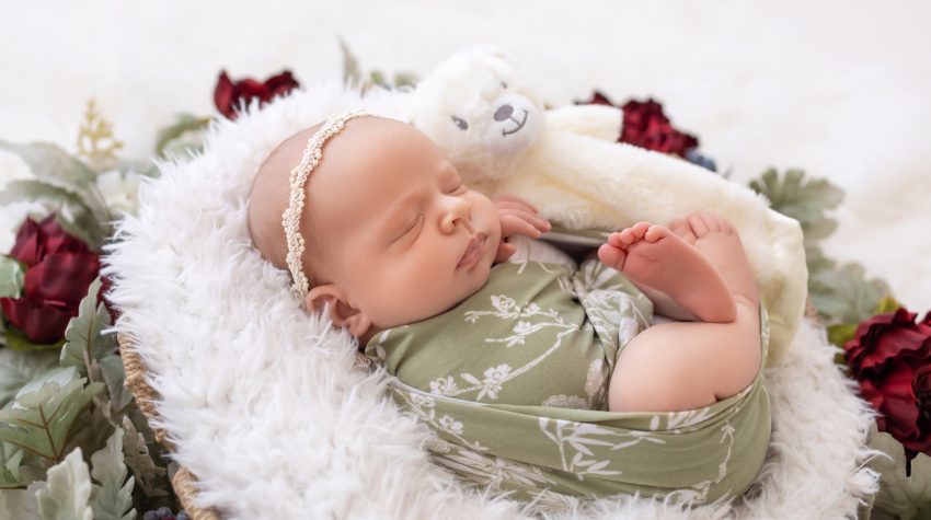 Newborn Baby Portraits Gainesville, Florida