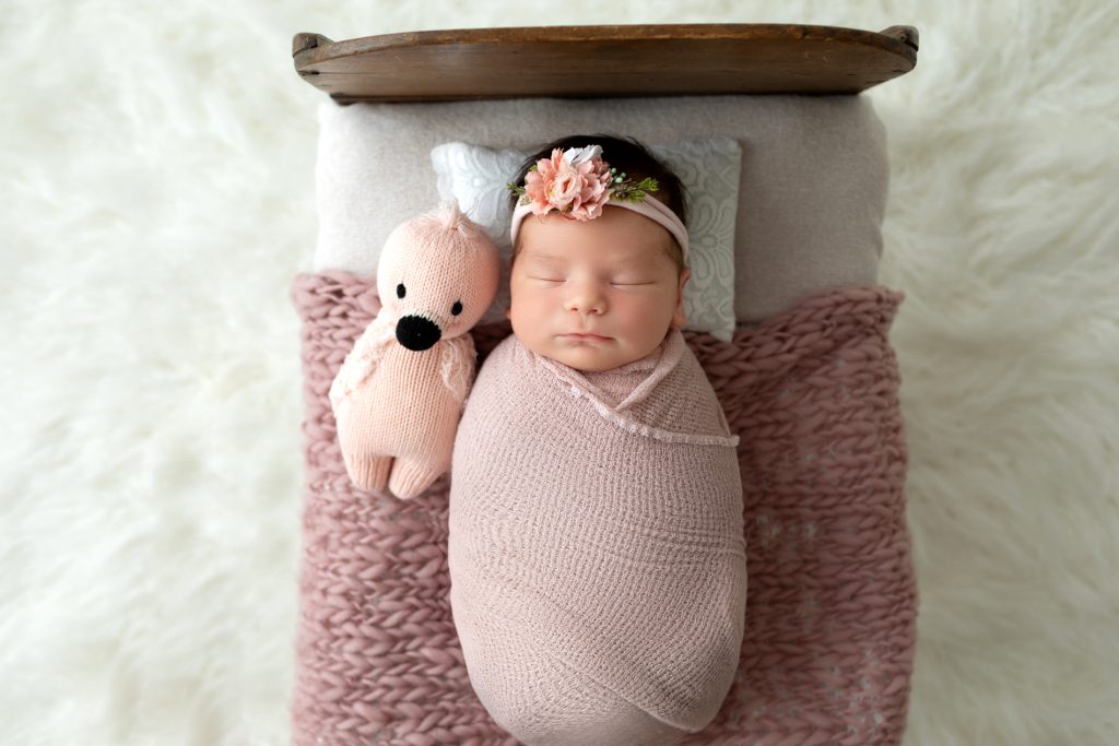 Newborn Baby Girl and Teddy Bear Creative Newborn Portraits